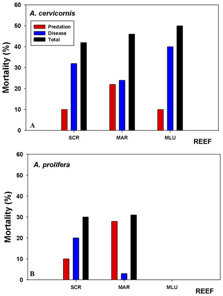 Coral tissue mortality by predation and disease.