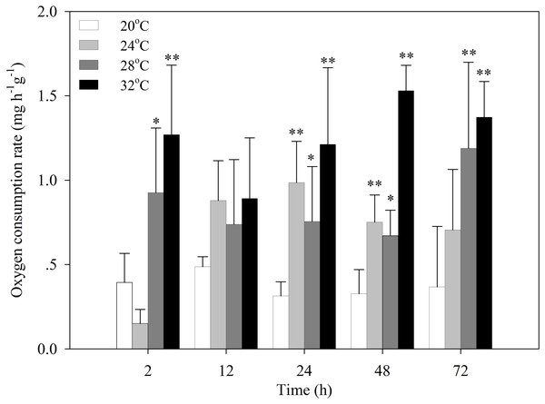 Oxygen consumption rates of S. subcrenata after exposed to different temperatures.