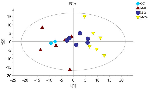 The score plot of PCA.