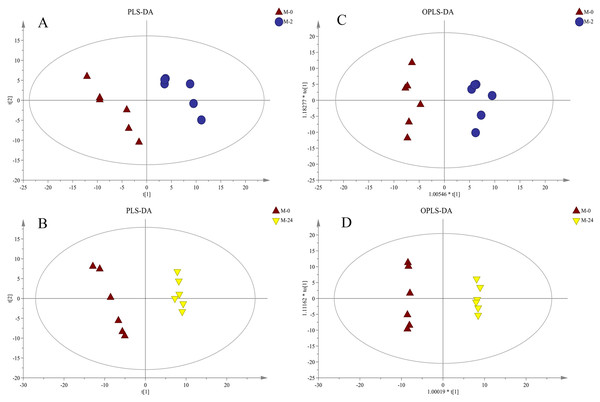 PLS-DA and OPLS-DA score plots derived from metabolite profiles of S. subcrenata.