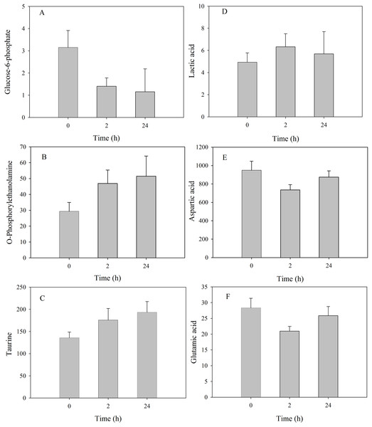 Metabolite levels of metabolites in the mantle of S. subcrenata after exposure to 32 °C.