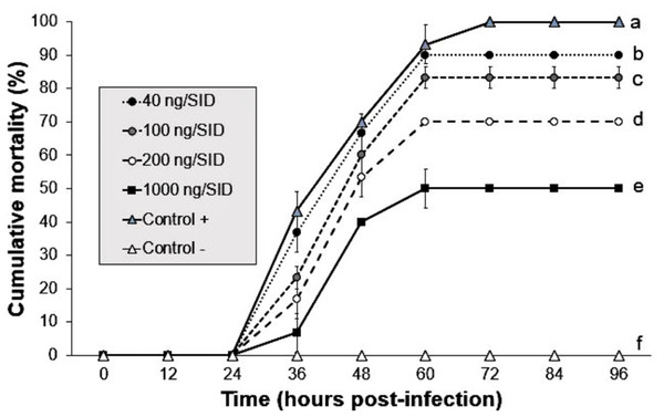 Effect of mixture Argovit-4/WSSV of different doses injected by intramuscular route.