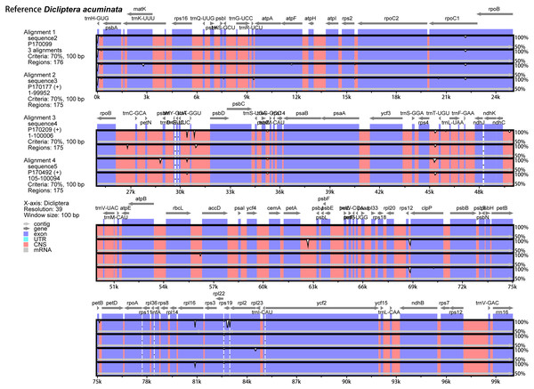 Comparison of the five Dicliptera chloroplast genomes using mVISTA.