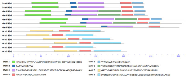 Conserved domain analysis of SOD family proteins.