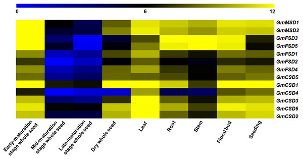 Expression patterns of SOD family genes in different soybean tissues.