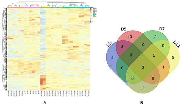 Statistical analysis of the urine proteome of W256 liver tumour model.