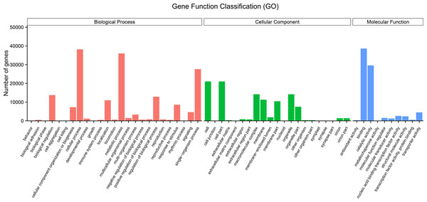Histogram of gene ontology (GO) term classification.