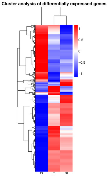 Hierarchical clustering map of differential gene expression in kenaf leaves under drought stress.