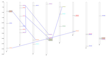 Genome-wide identification and expression analysis of the VQ gene ...