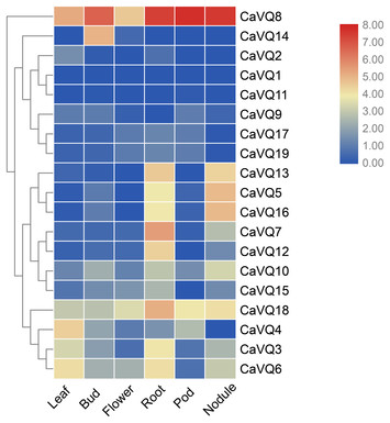 Genome-wide identification and expression analysis of the VQ gene ...