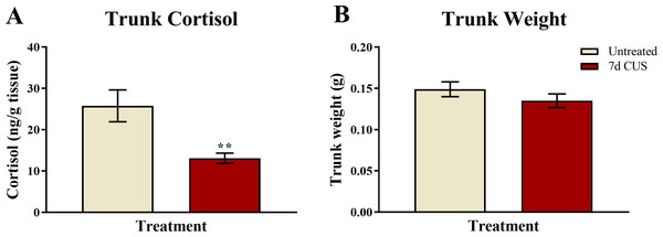 Cortisol and body weight measures of zebrafish (Experiment 1).