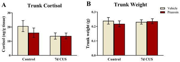 Cortisol and body weight measures of zebrafish (Experiment 2).