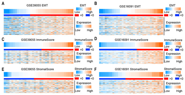 Expression of EMT-, immune activity and stromal-related genes in osteosarcoma.