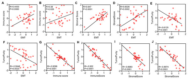 EMT-related gene expression is positively correlated with immunity and stromal activity but negatively correlated with tumor purity.