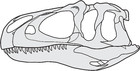 Notes on the cheek region of the Late Jurassic theropod dinosaur ...