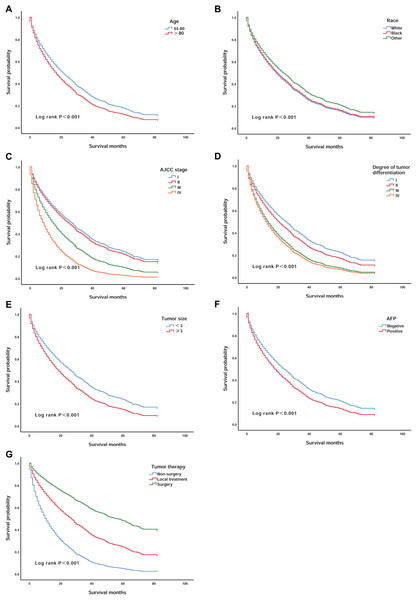 Kaplan–Meier survival curves of elderly patients with HCC stratified by age, race, AJCC stage, degree of tumour differentiation, tumour size, AFP, and tumour therapy.