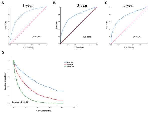 The prognostic scoring model has a good prognostic performance in predicting the overall survival of elderly patients with HCC.