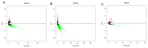 The volcano plot of differentially expressed RNAs in patients with OSCC.