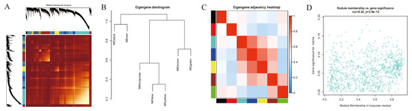 Functional gene modules detected by co-expression network analysis.