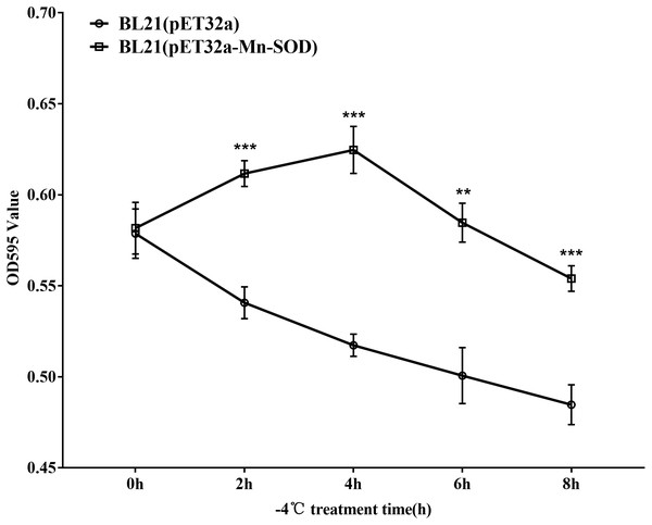 Survival curve of the MpmMn-SOD overexpressed BL21 (pET32a-mMn-SOD) at −4 °C cold stress.