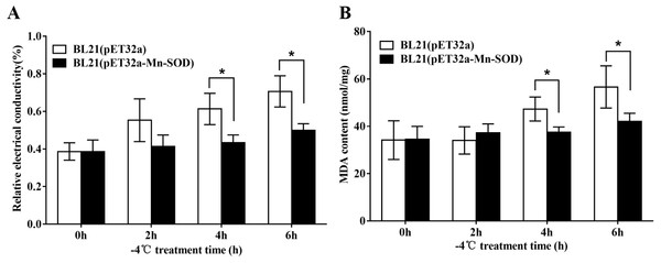 Protective effect of MpmMn-SOD on bacteria BL21(pET32a-mMn-SOD) at −4 °C.