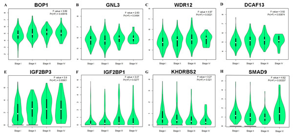 Correlation between eight hub RBPs expression and tumor stage in LUAD patients.