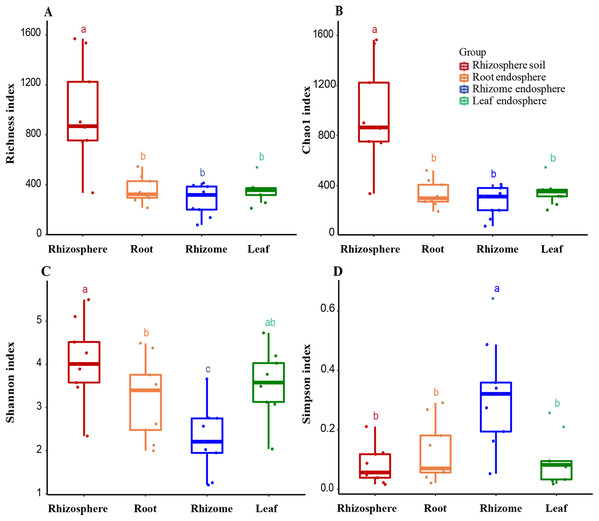 Alpha diversity of the fungal communities in different samples.