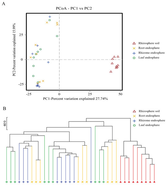 Plant compartment drives the composition fungal communities at the OTU level.