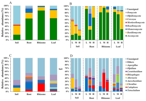 Distribution of OTUs at the phylum and genus levels.