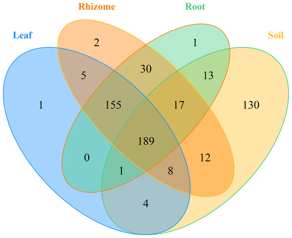 Venn diagrams of the number of OTUs in different mycobiota.