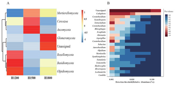 Cluster heat maps of phylum and genus abundances.