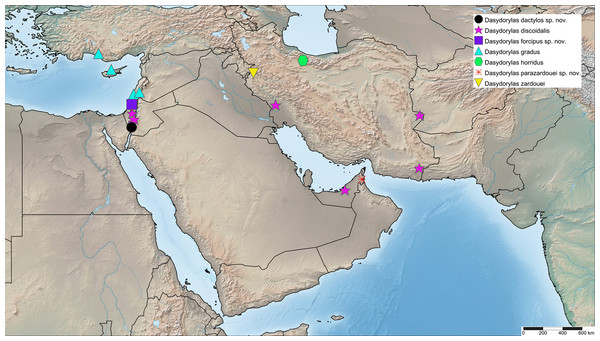 Dasydorylas distribution in the Middle East.