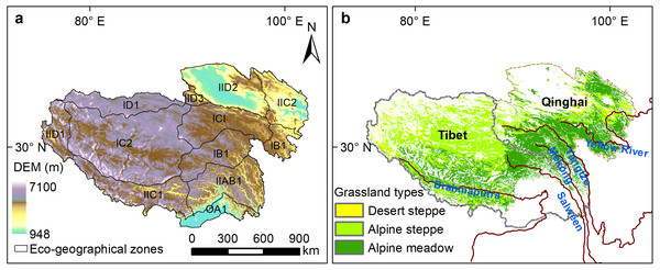Eco-geographical regions (A) and alpine grassland types (B) on the Qinghai-Tibetan Plateau.