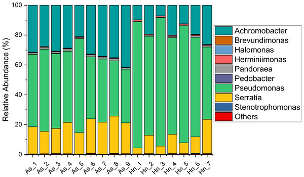 Stacked bar chart showing relative abundance of microbial composition of Acanthopagrus schlegelii (As) and Halichoeres nigrescens (Hn) eggs at the genera level.
