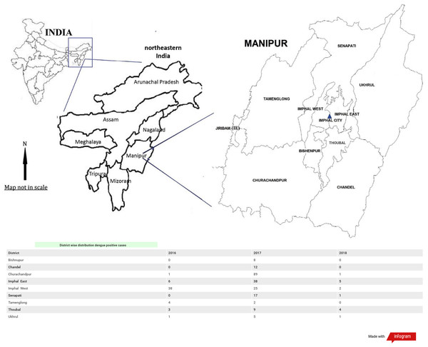 District wise distribution of dengue positive cases in Manipur: 2016–2018.