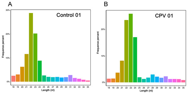 Length distribution of small RNAs in the Control (A) and CPV infection (B) libraries of CRFK cells.