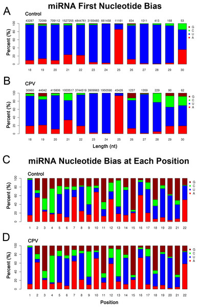 First nucleotide bias and nucleotide bias at each position of known feline miRNAs.