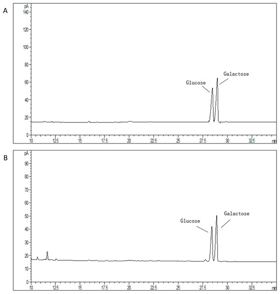 Monosaccharide composition profile of hydrolyzed EPS from S. thermophilus 05epsF (A) and S. thermophilus 05CK (B).