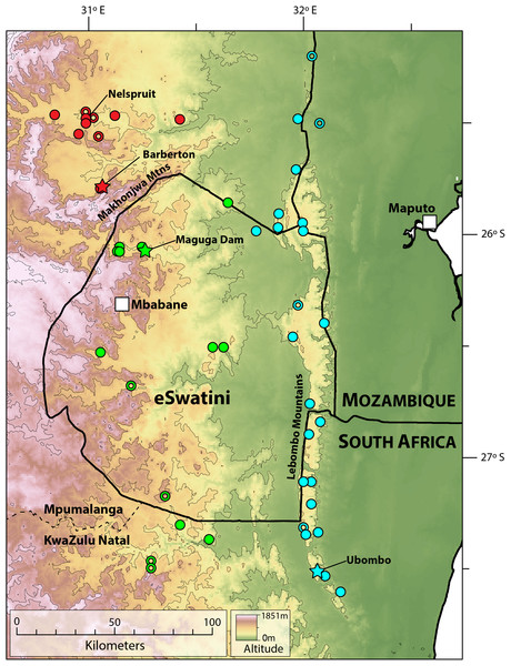 Map showing localities for Smaug barbertonensis (red), S. swazicus sp. nov. (green) and S. warreni (blue).