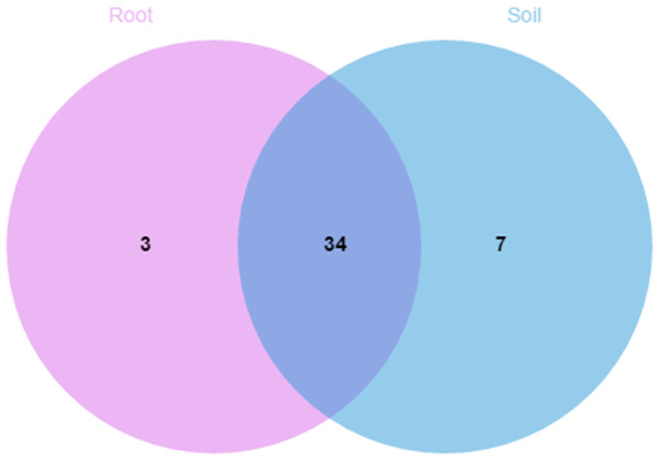 Venn diagrams showing the number of Russulaceae species shared and unique to the root and soil.