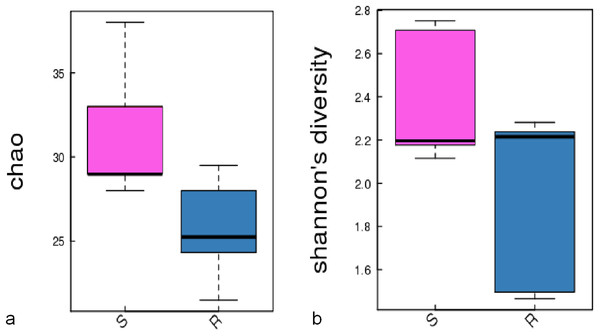 The significant difference of the alpha diversity indices between the root group (R) and the soil group (S) with a confidence interval of 95%. (A) Chao diversity; (B) Shannon diversity.