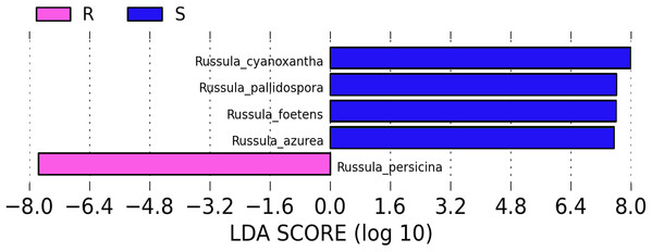 LDA analysis of the root and soil groups. The default score of the LDA is 2.0, and the length of the bar chart represents the influence degree of the LDA score value and the species with significant differences between the different groups.