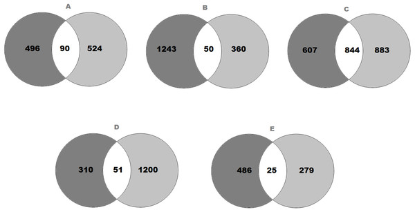 Venn diagram representing the number of genes that expressed significant changes in (A) SFO; (B) SON; (C) PVN; (D) NTS and (E) RVLM.