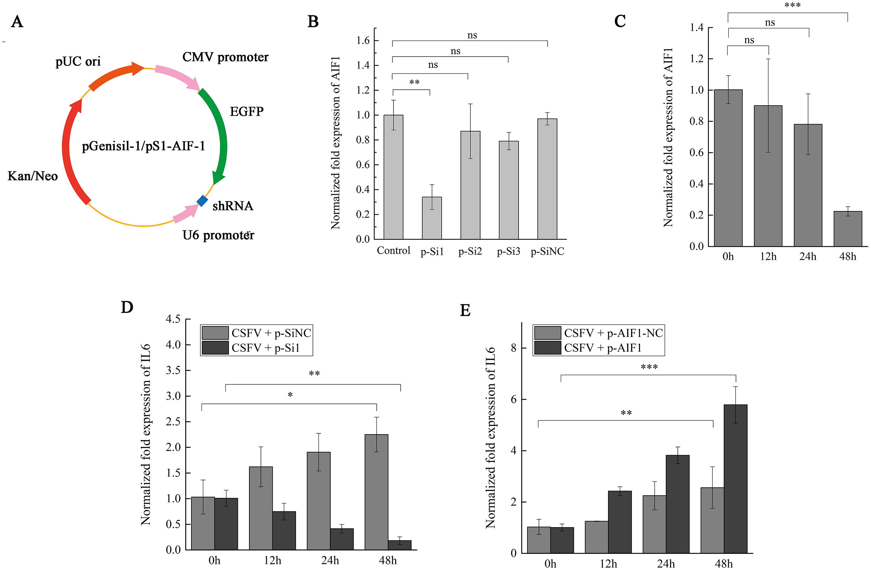 Aif1 Was Identified As An Up Regulated Gene Contributing To Csfv Shimen Infection In Porcine Alveolar Macrophage 3d4 21 Cells Peerj