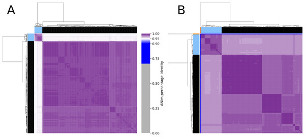 Clustered heatmap of ANIm percentage identity for (A) 575 Enterococcus faecium and (B) 129 Pediococcus acidilactici genome assemblies.