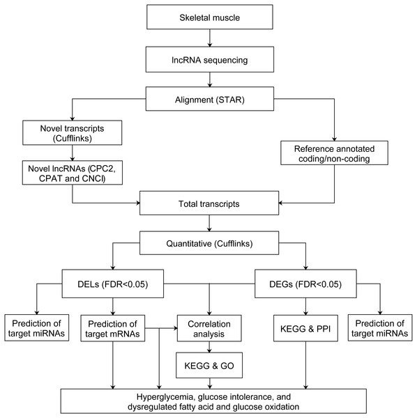 Flowchart of data analysis pipeline.