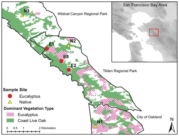 Dominant vegetation map of Wildcat Canyon Regional Park, Tilden Regional Park and UC Berkeley Campus.
