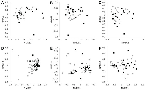 NMDS plots of unweighted UniFrac (A and D), weighted UniFrac (B and E), and Bray–Curtis (C and F) distance matrices from microhabitat soils (A–C) and Batrachoseps attenuatus skin microbiota samples (D–F).