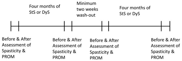 Timeline of the study protocol.