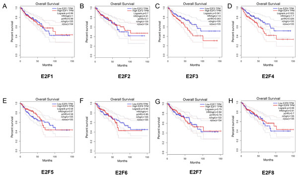 The relationship between the level of E2F genes and overall survival in patients with colon cancer.
